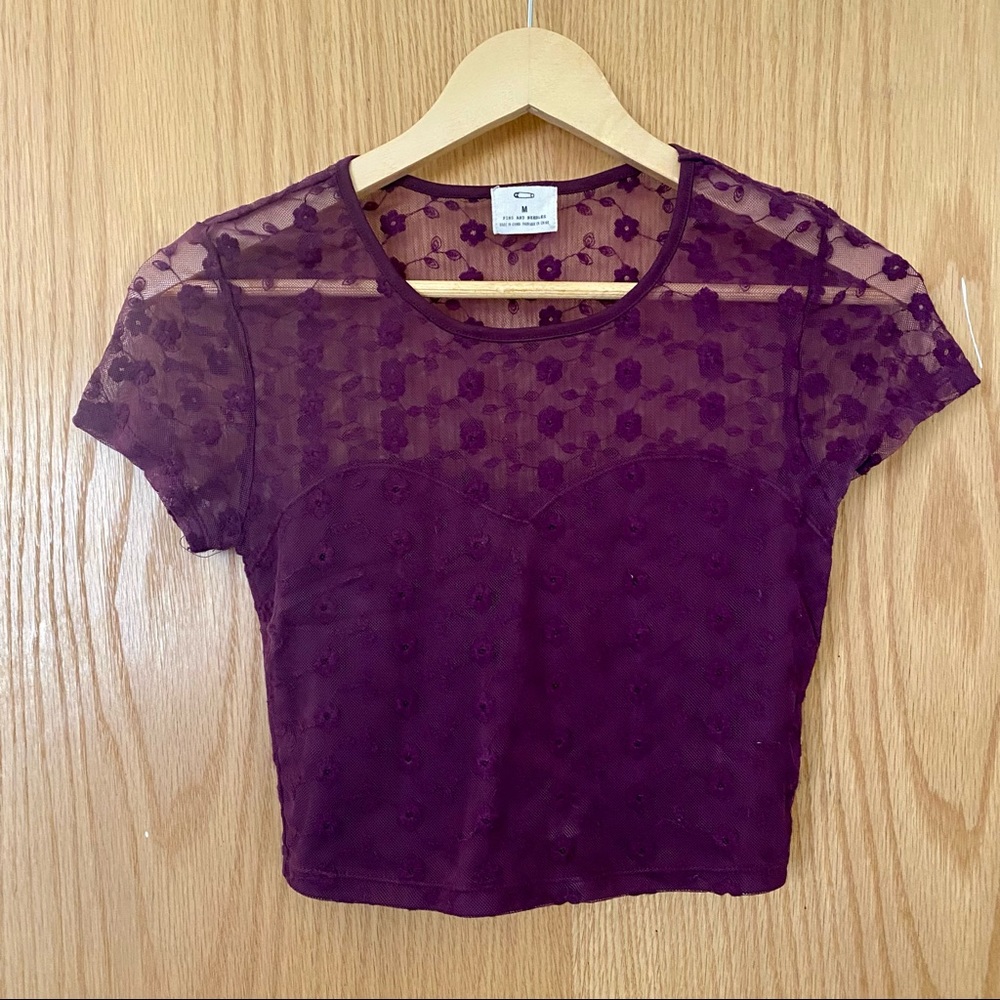 Urban Outfitters Embroidered Mesh Crop Top